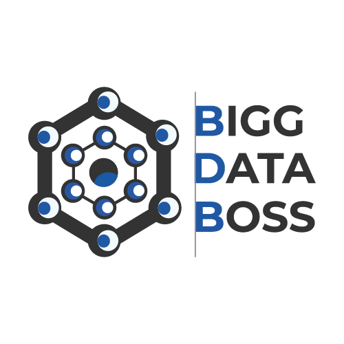 Bigg Data Boss Logo